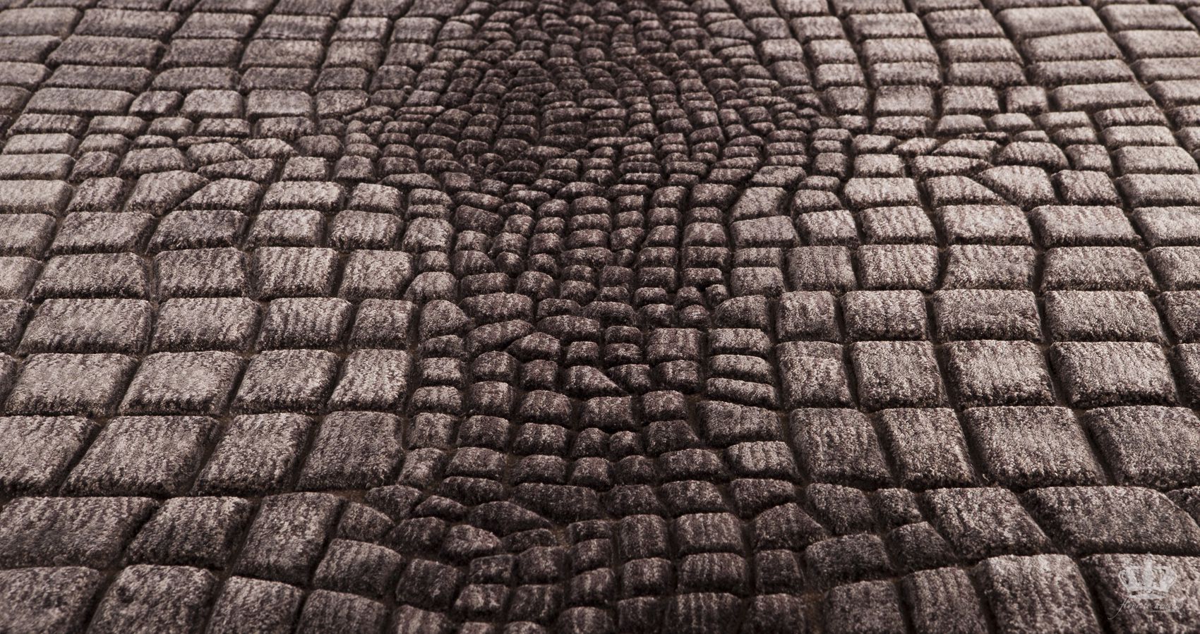 collections/front-ms-crocodeluxe-1a.jpg