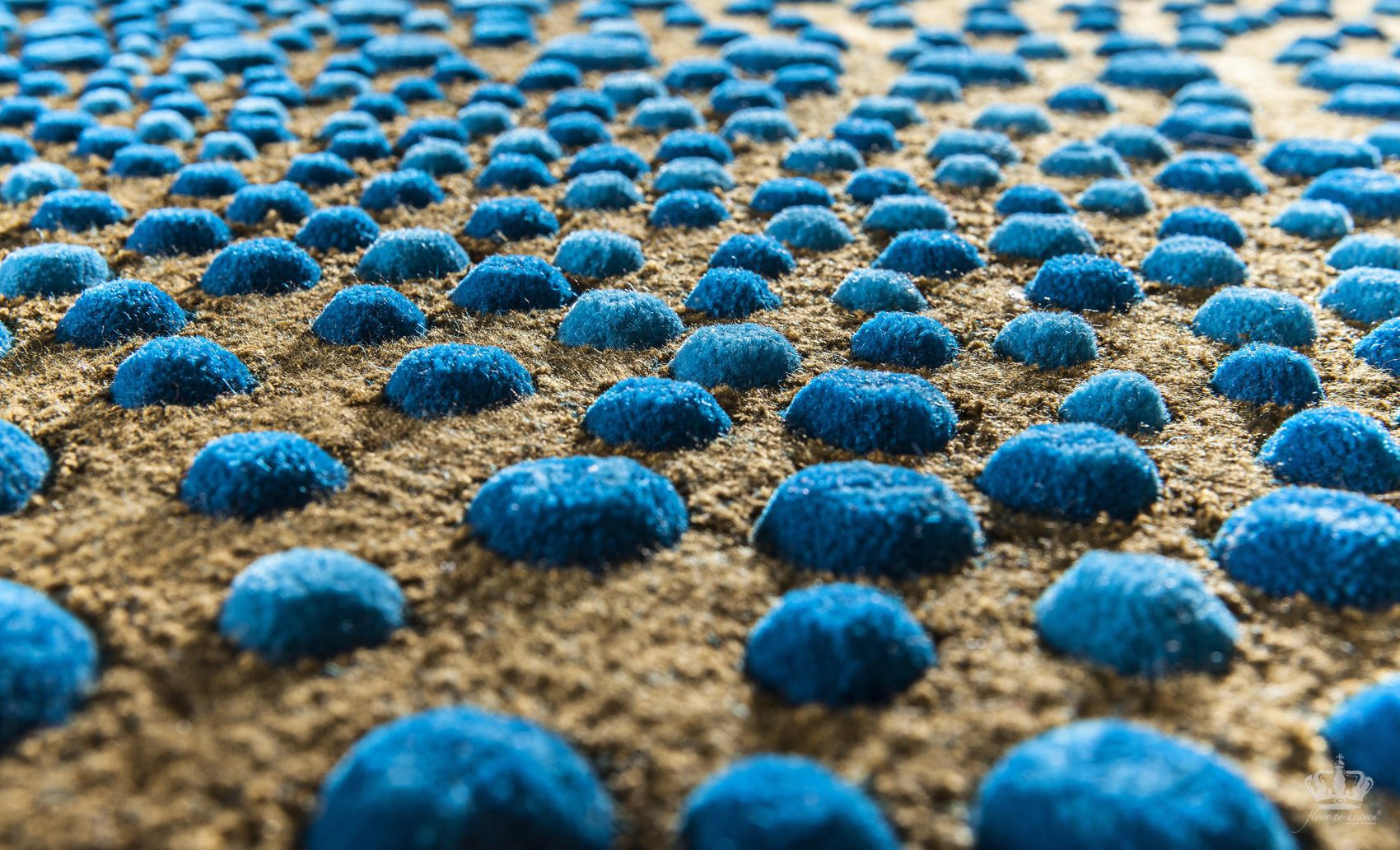 collections/front-ms-seaurchin-3a.jpg