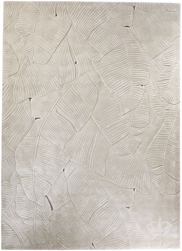 Palm Leaf