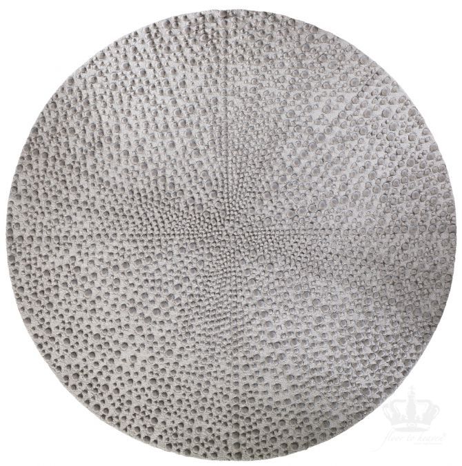Sea Urchin